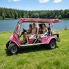 Luxury 6-Seater Pink Electric Sightseeing Car for Theme Parks - Eagle