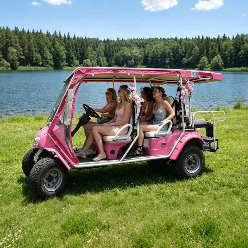 Luxury 6-Seater Pink Electric Sightseeing Car for Theme Parks - Eagle