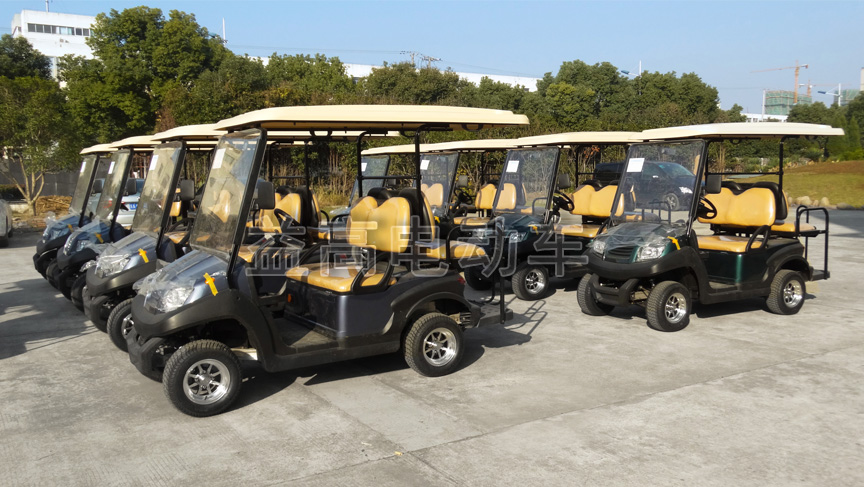 eagle 4 seater golf cart