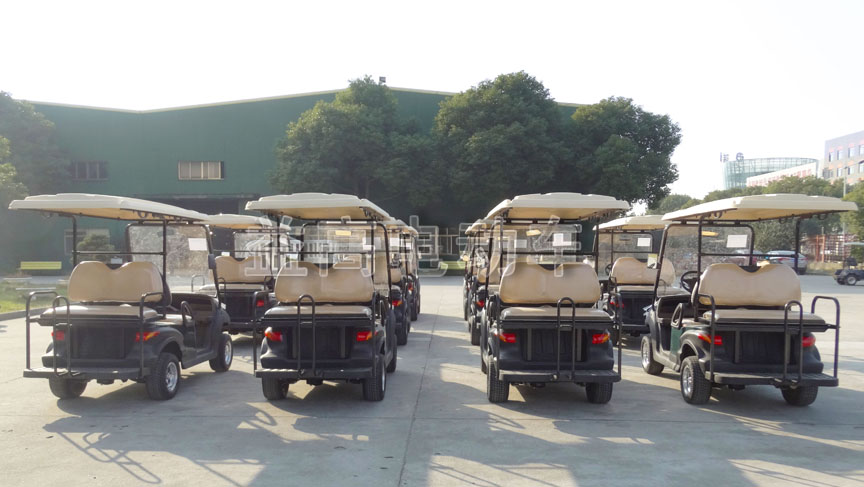 eagle lithium golf cart