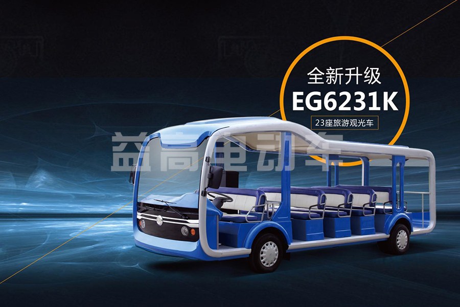 eagle brand new sightseeing bus car