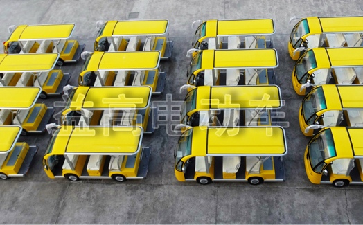 eagle-electric-sightseeing-car