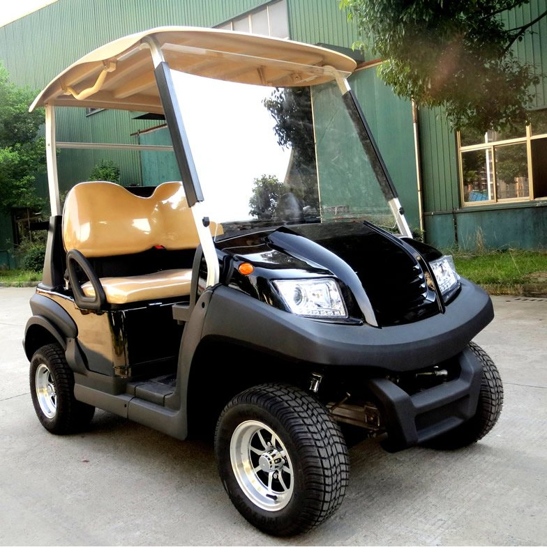 High quality 2 seater mini golf cart - EG202AK