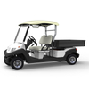2 seater utility electric golf cart with box - EG204AHCX