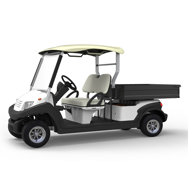 2 seater utility electric golf cart with box - EG204AHCX