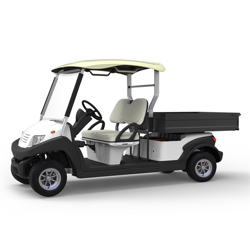 2 seater utility electric golf cart with box - EG204AHCX