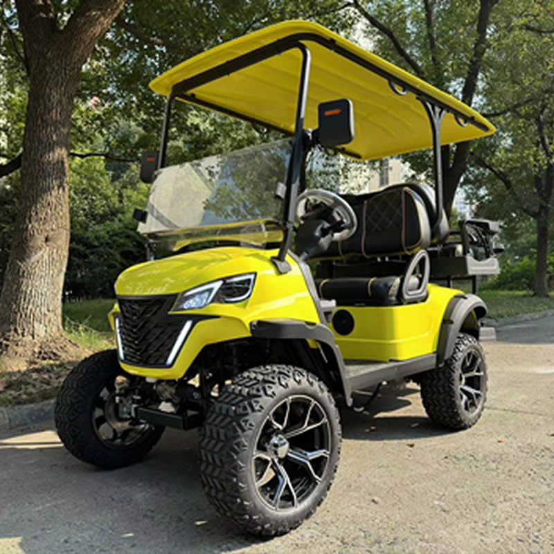 Luxury lifted utility 2+2 4 persdon seater golf cart - EG202DKSZ