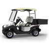 Custom utility golf cart with box manufacturer - EG202AH