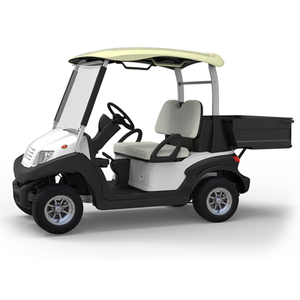 Custom utility golf cart with box manufacturer - EG202AH