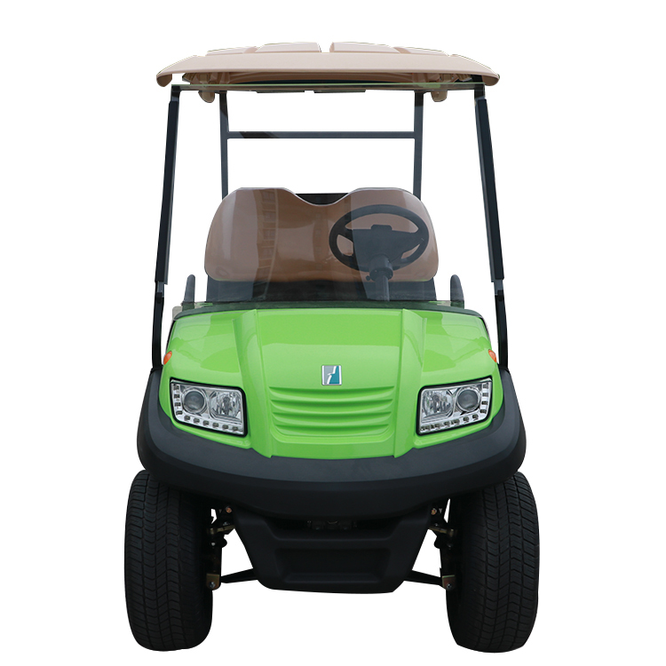Custom Best 48V Mini Farm Electric Battery Lithium Golf Cart