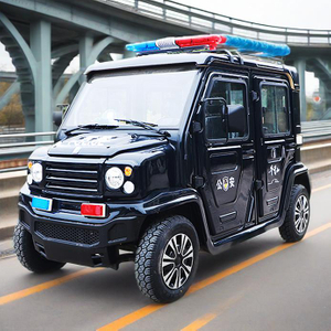 security patrol car