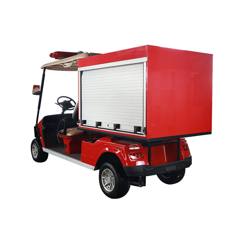 Custom 2 Seats Mini Electric Fire Food Golf Cart with Box - EG6010F
