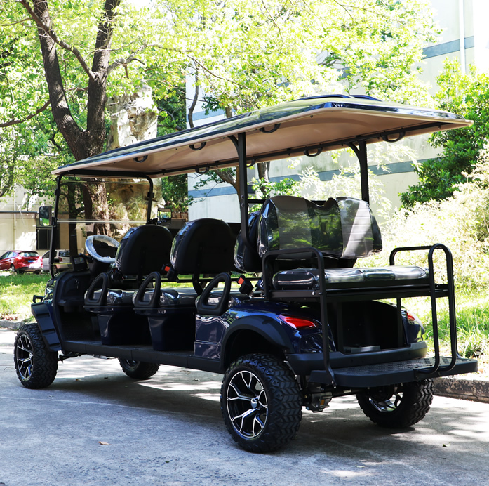 6+2 8 seater golf carts