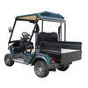 China Mini 2 Seater Electric Hunting Offroad Golf Off Road Buggy - 2028HR