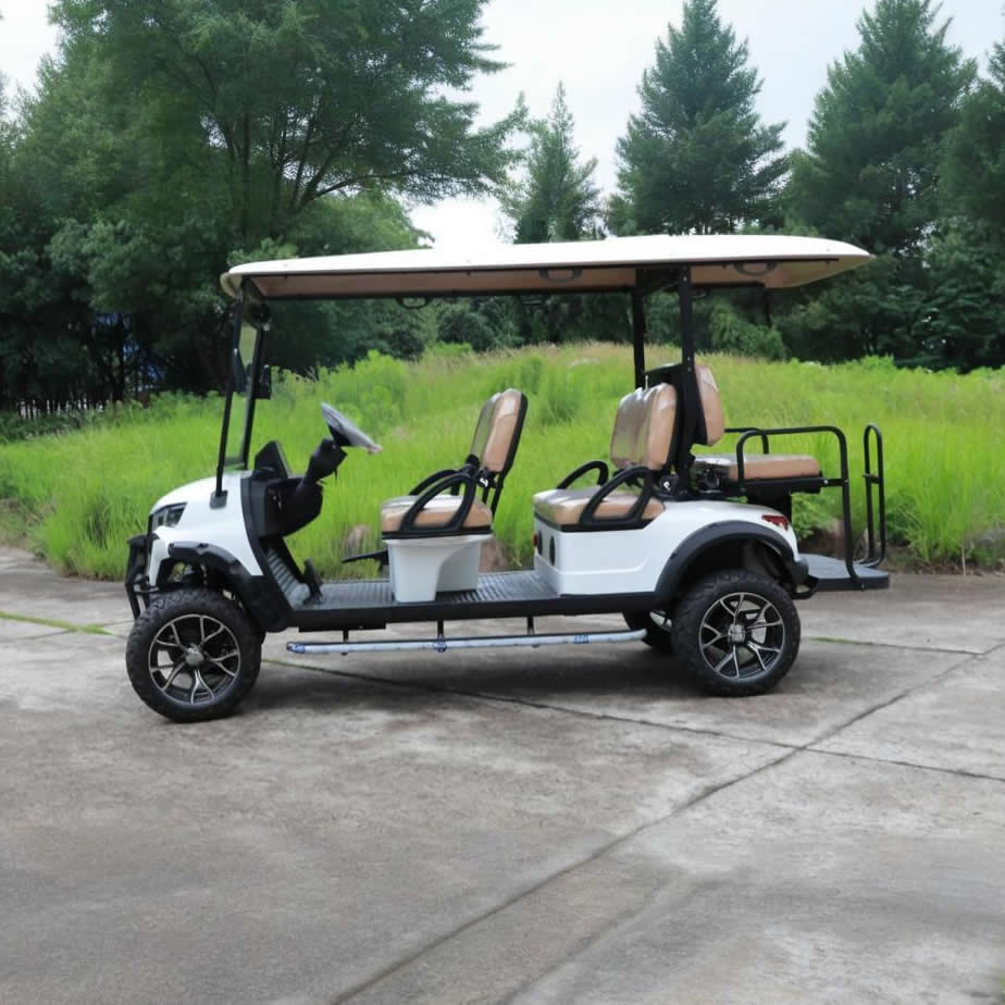 Wholesale Sightseeing Lifted 6 Seater Golf Cart Buggy for Hotels - EG204DKSZ