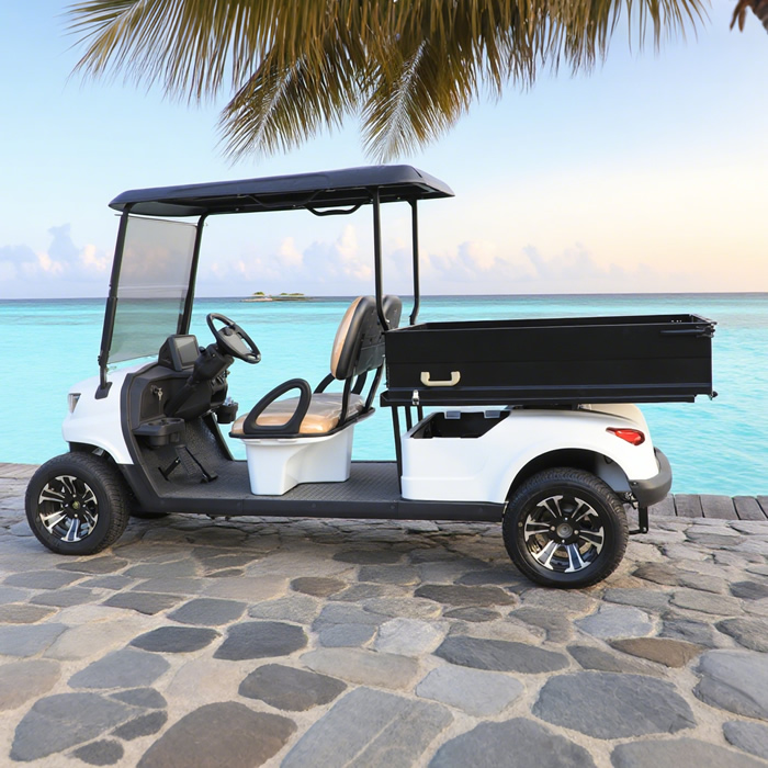 Utility Golf Carts Buggy with Cargo Box