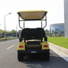Custom High Quality Color Electric Lithium Battery Golf Cart for Sale - EG2048K
