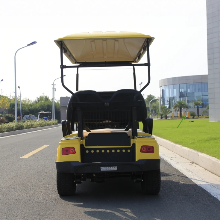 Custom High Quality Color Electric Lithium Battery Golf Cart for Sale - EG2048K