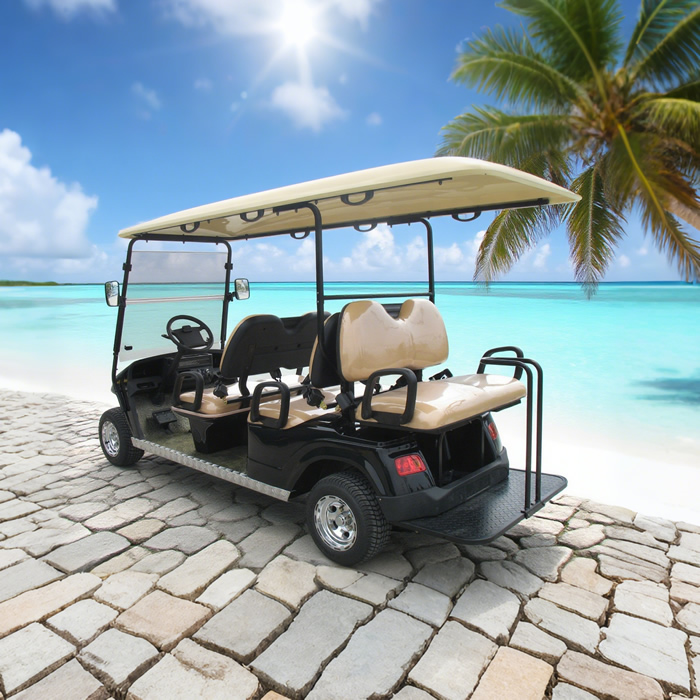 OEM ODM Chinese 48v Electric Custom Lithium Battery 6 Seater Golf Cart - Eagle Golf Cart