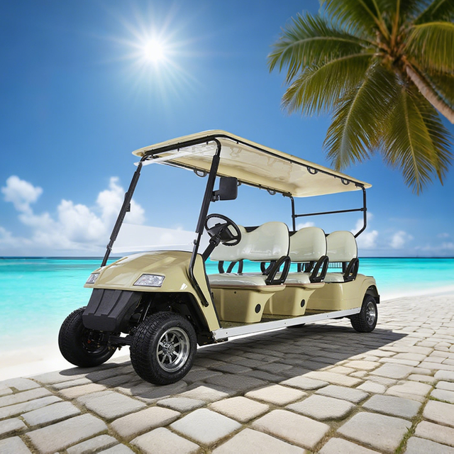 Custom Vehicle Sightseeing Bus Car 6 Passenger Person Seat Electric Golf Cart - Eagle Golf Cart