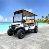 Wholesale Sightseeing Lifted 6 Seater Golf Cart Buggy for Hotels