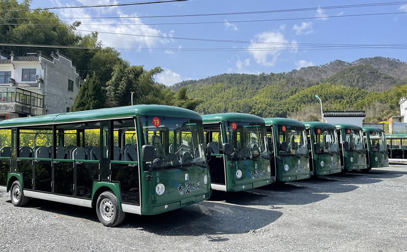 Electric Sightseeing Bus Car