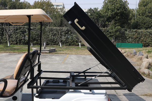 Utility Cargo Truck Golf Cart with Box - EG2048HCX