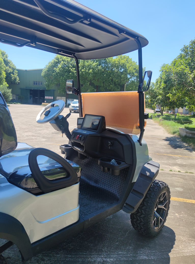 Custom 2 Person Electric Golf Cart