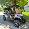 Custom Rear of 4 Seater Electric Golf Cart Manufacturer