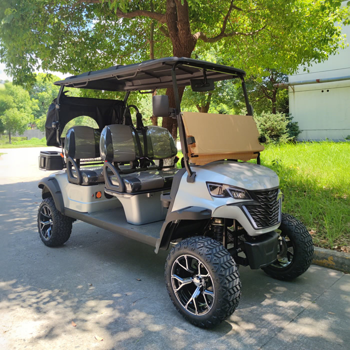 Custom Rear of 4 Seater Electric Golf Cart Manufacturer