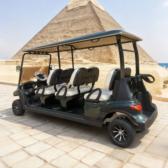 Carros Palos De Golf Electricos Nuevos Chinos Republica Dominicana Personalizados