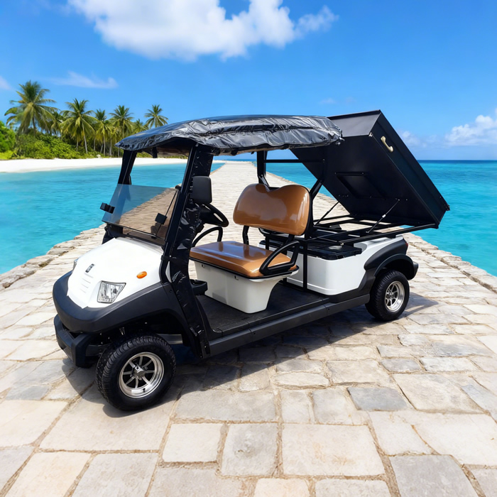 Custom Golf Cart Utility Bed with Cargo Box For Sale