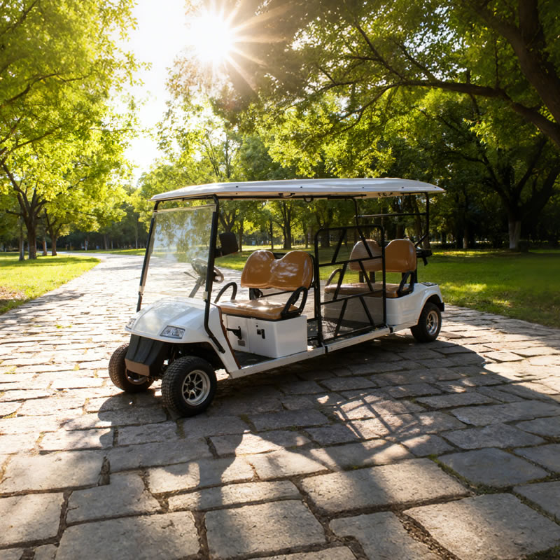 Custom Wholesale Disabled Utility Handicapped Golf Cart Manufacturer