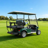 Custom Mini Electric LSV Golf Cart Golf Buggy Carts for Sale - EG2028KSZ