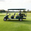 OEM ODM Chinese 48v Electric Custom Lithium Battery 6 Seater Golf Cart