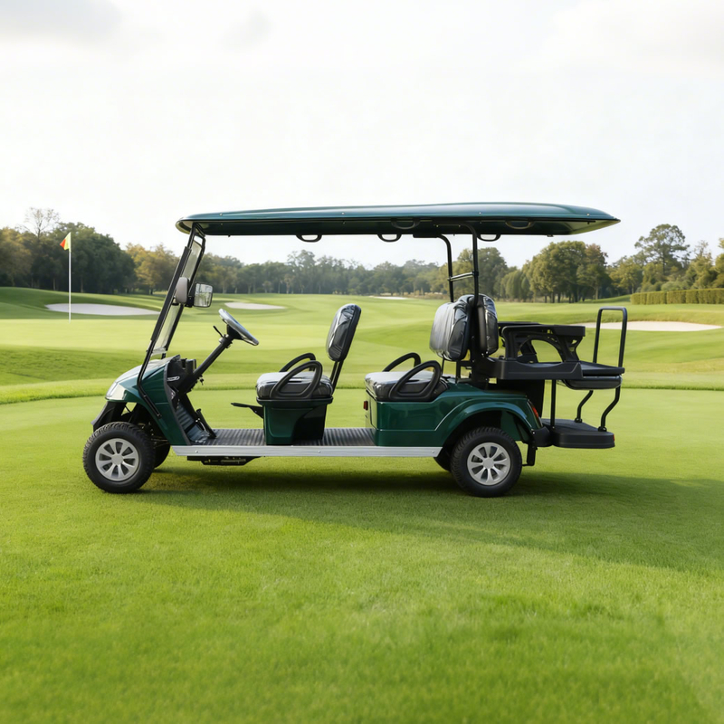 OEM ODM Chinese 48v Electric Custom Lithium Battery 6 Seater Golf Cart