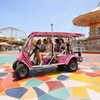 Luxury 6-Seater Pink Electric Sightseeing Car for Theme Parks