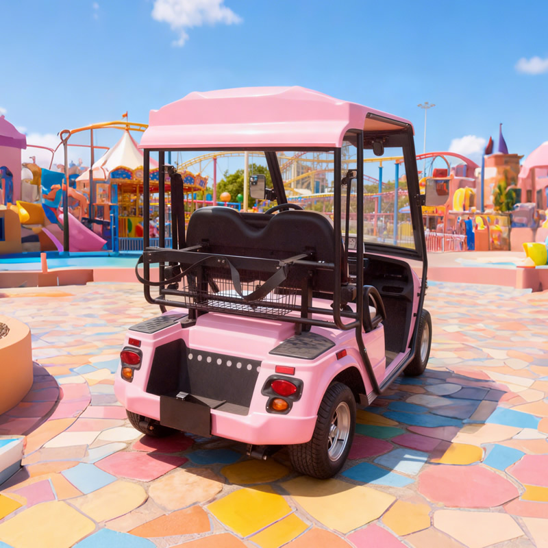 Custom Electric Street Legal Golf Carts Buggy