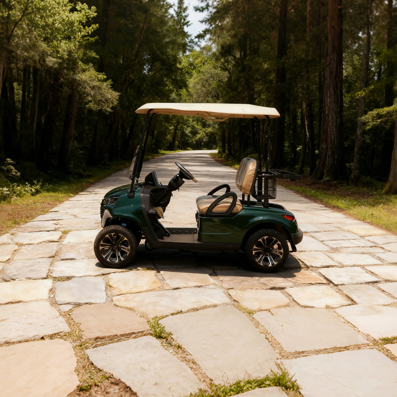 Chinese 2 seat electric mini golf cart