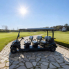 Top Manufacturer & Supplier of 6 Seater Golf Carts Prices
