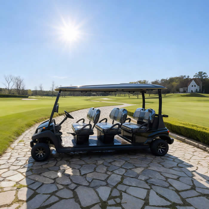 Top Manufacturer & Supplier of 6 Seater Golf Carts Prices