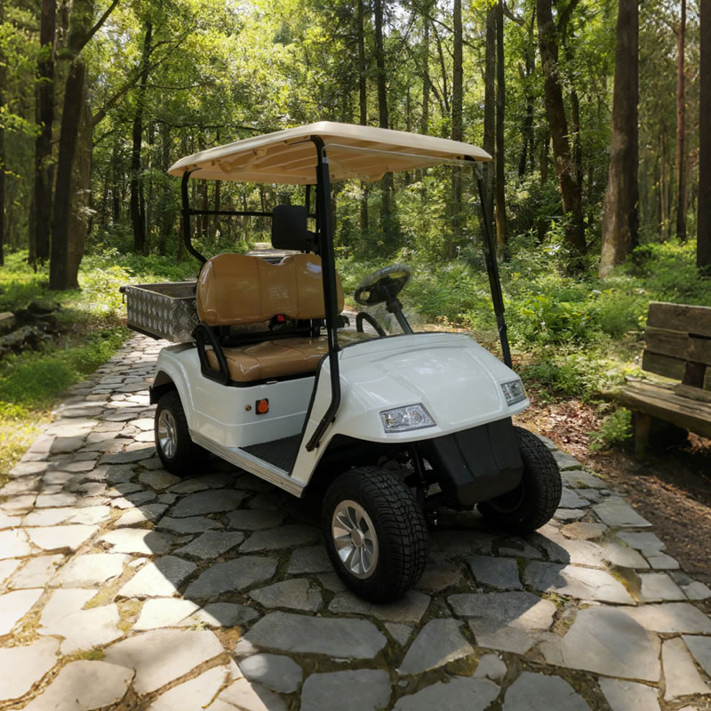 Golf Cart Aluminum Cargo Box with Stainless Steel Frame - EG2028H