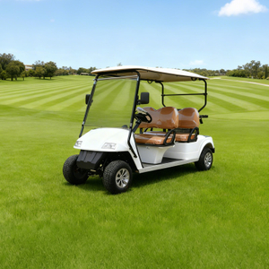 Custom High Quality Color Electric Lithium Battery Golf Cart for Sale