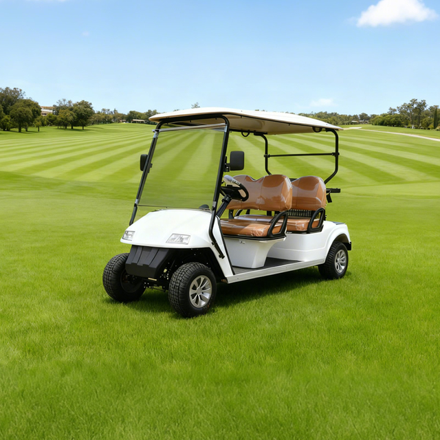 Custom High Quality Color Electric Lithium Battery Golf Cart for Sale