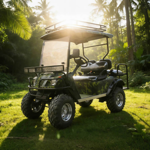 Custom Wholesale Lithium Electric Off Road Golf Cart 