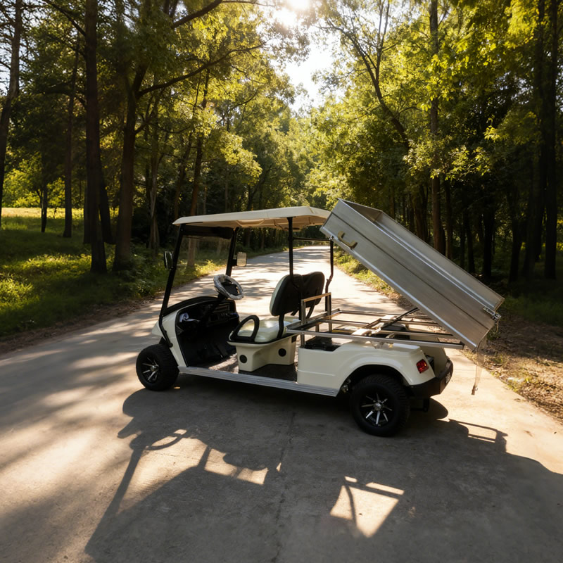 Golf Cart with Stainless steel Cargo Dump Bed