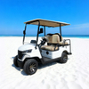 Luxury 4 Seater Golf Cart Electric - Eagle Golf Cart