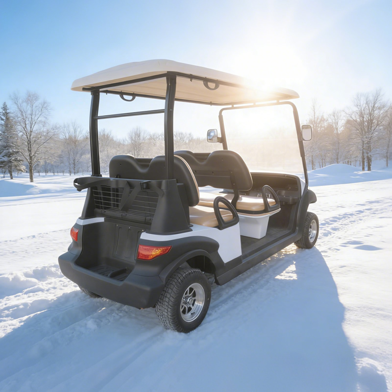 Chinese 4 seater golf carts wholesale - Eagle Golf Cart