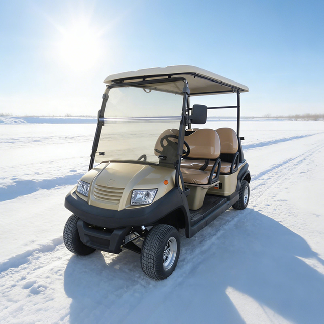 Four 4 Person Passenger Seater Electric Front Facing Golf Carts for Sale - Eagle Golf Cart