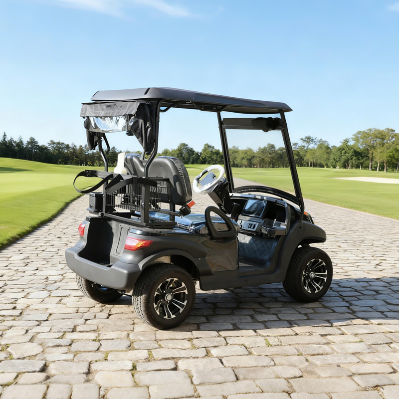 High Quality 2 Seater Mini Electric Battery Golf Cart